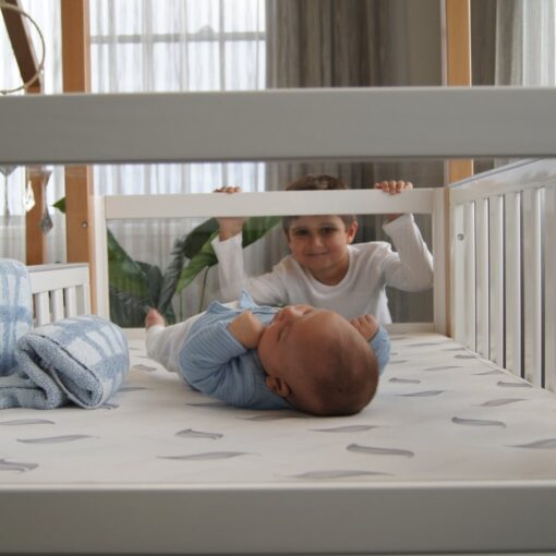 kaylula mila cot with clear panels